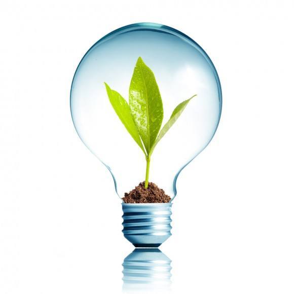 Light Bulb 11W