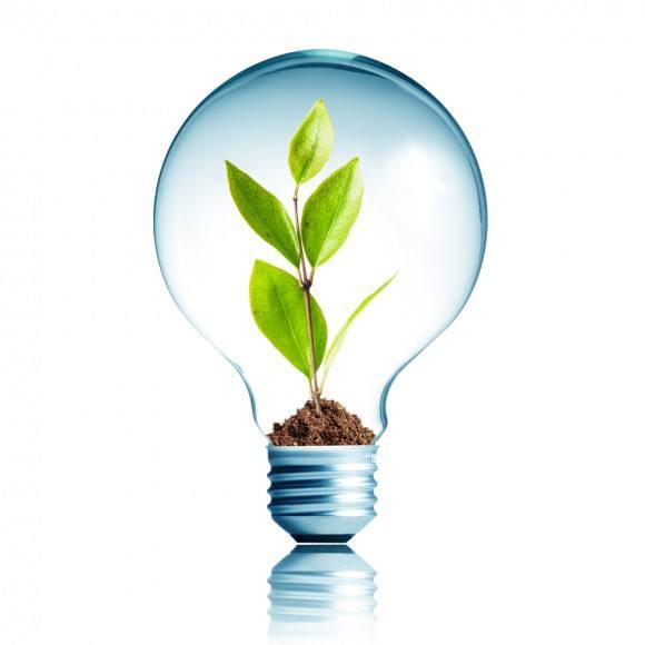 Light Bulb 13W