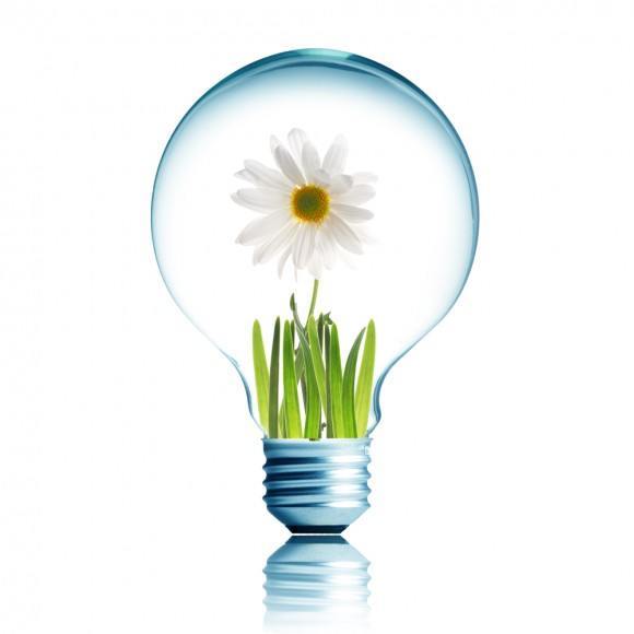 Light Bulb 14W