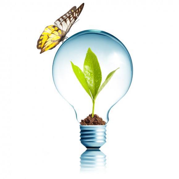 Light Bulb 15W