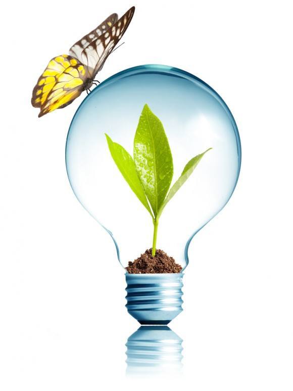 shutterstock_107877458