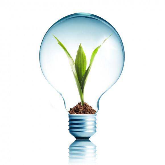 Light Bulb 16W