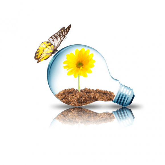 Light Bulb 12W