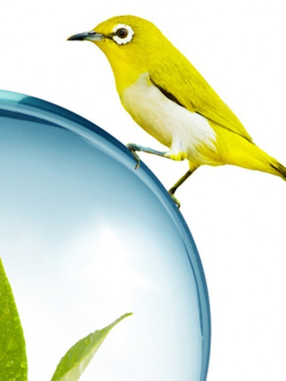 shutterstock_116250721-1
