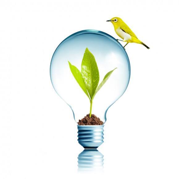 Light Bulb 17W
