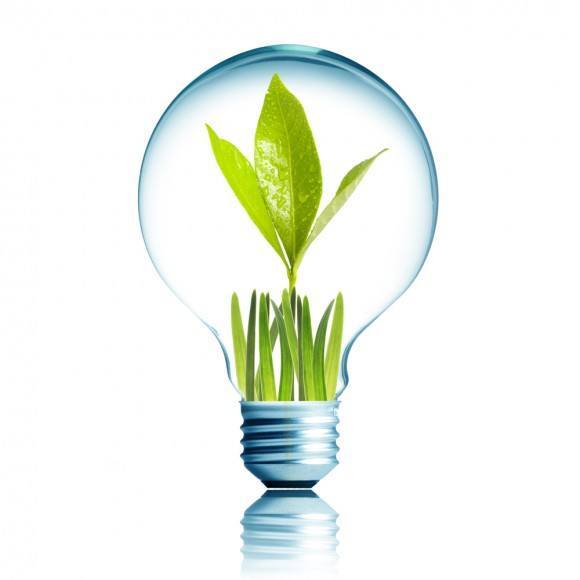 Light Bulb 1W