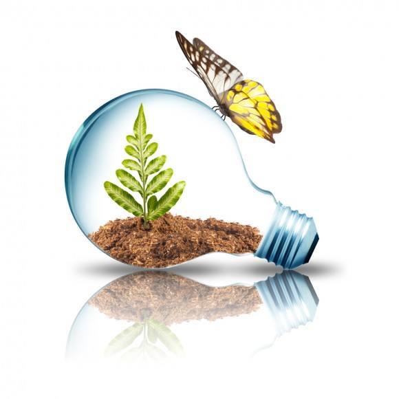 Light Bulb 2W
