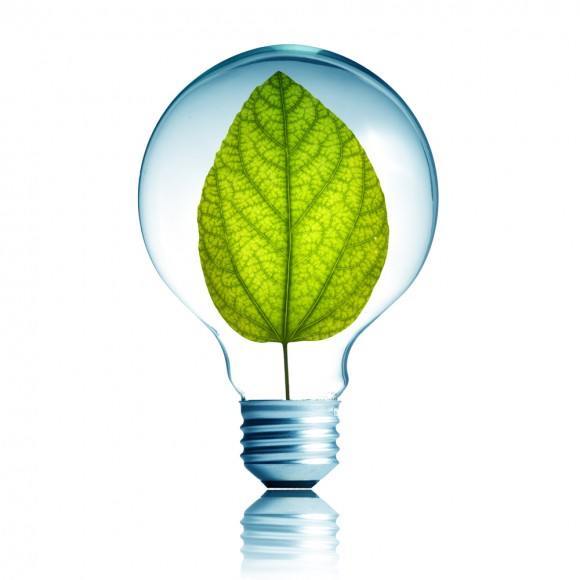 Light Bulb 5W